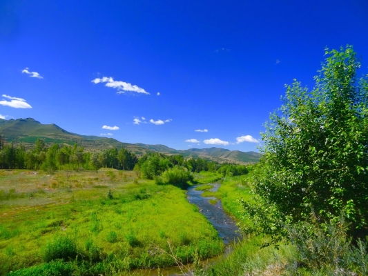赤峰小峰水果店電話地址查詢-第1張圖片