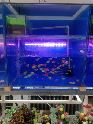 赤峰鋼鐵街網(wǎng)咖電話多少號(hào)-第1張圖片