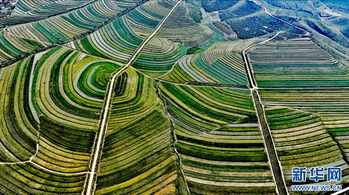 赤峰秀寧電鍋爐維修電話號碼-第1張圖片