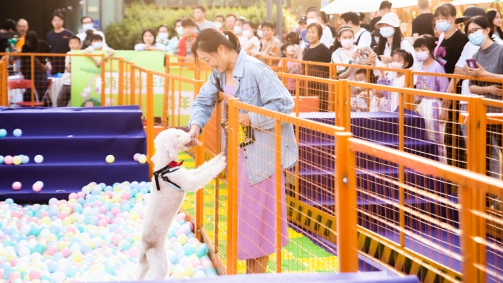 赤峰富龍萬達嘉年華電話號碼-第1張圖片