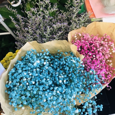 赤峰市大板鎮(zhèn)花店電話地址查詢-第1張圖片