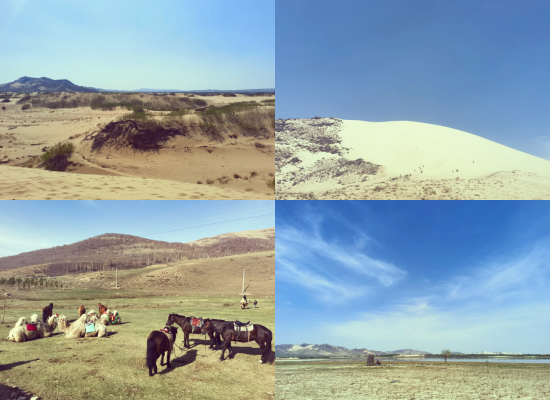 赤峰駱駝交易市場(chǎng)地址電話號(hào)碼-第1張圖片