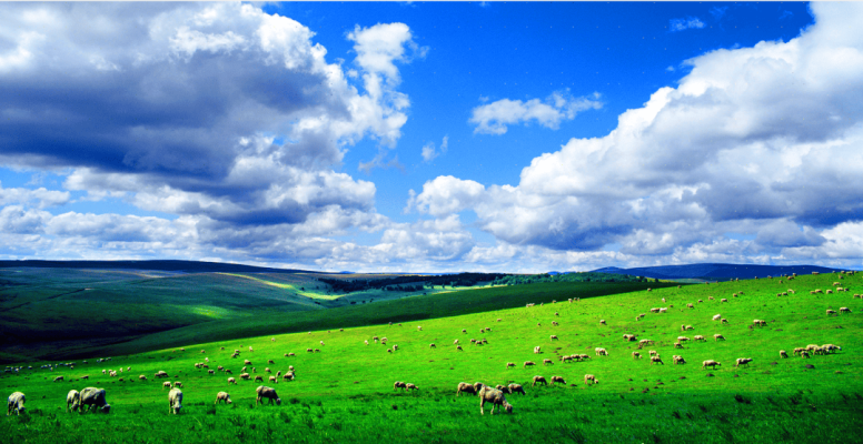 赤峰阿田煎餅店電話多少號-第1張圖片