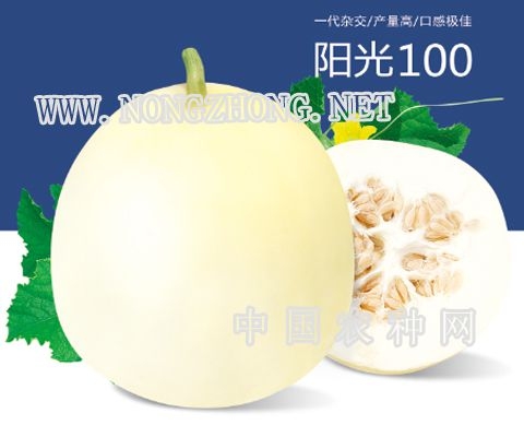 赤峰甜瓜代賣網(wǎng)電話號碼查詢-第1張圖片