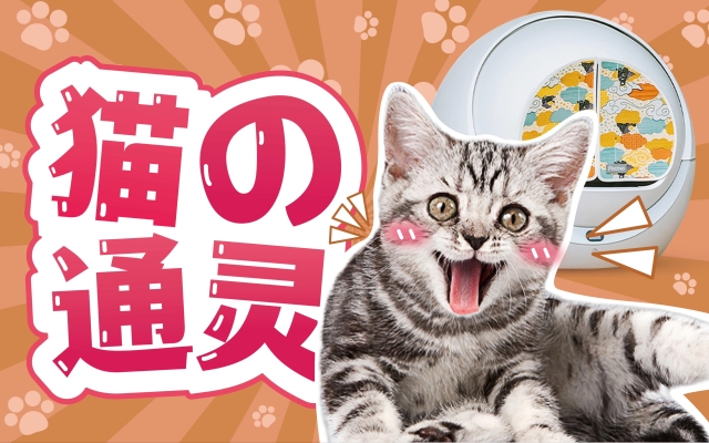 赤峰同城買貓砂電話號碼多少-第1張圖片