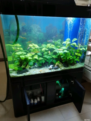 赤峰市區(qū)魚缸定制電話號(hào)碼查詢-第1張圖片