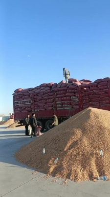 赤峰瓜子廠-第1張圖片