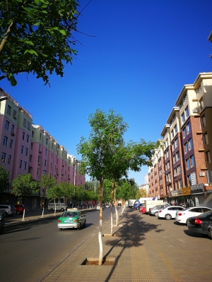 赤峰市紅山審計局電話號碼-第1張圖片