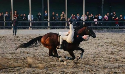 赤峰紅峰馬術(shù)館電話多少號-第1張圖片