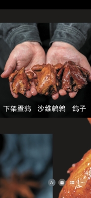 赤峰養(yǎng)鵪鶉廠家電話號(hào)碼查詢-第1張圖片