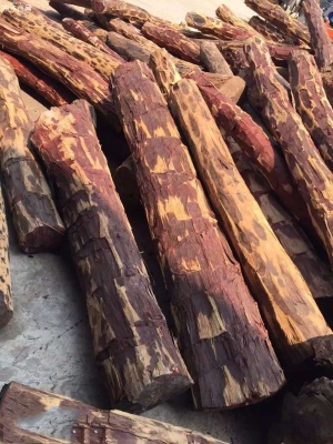 赤峰森源木材經(jīng)銷處電話號碼-第1張圖片