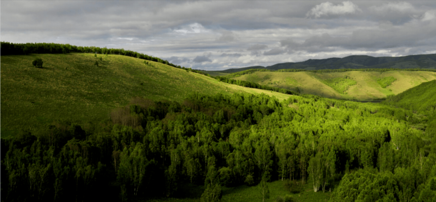 赤峰市韓國林業(yè)局電話號(hào)碼-第1張圖片