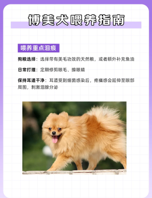 赤峰博美美容院地址電話號碼-第1張圖片