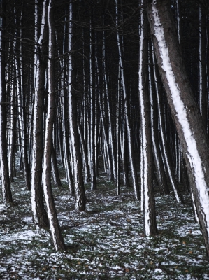 赤峰詩美詩格團購電話號碼-第1張圖片