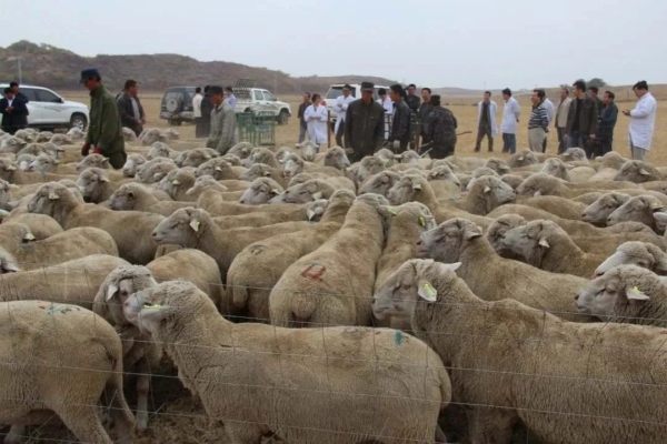 赤峰毛家紅磚廠電話號碼多少-第1張圖片