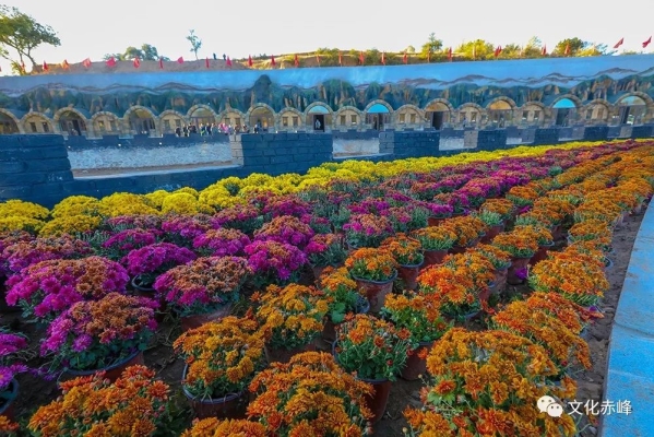 赤峰楊家灣農(nóng)家院電話號碼-第1張圖片