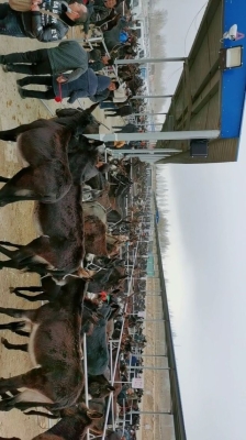 赤峰市敖漢旗掃黃辦電話號(hào)碼-第1張圖片