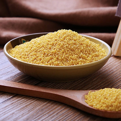 赤峰康樂批發(fā)部電話多少號-第1張圖片