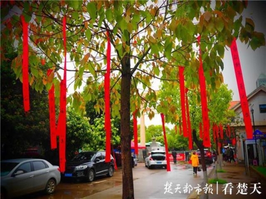 赤峰大樹彩帶廠家電話號碼查詢-第1張圖片