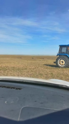 赤峰市天山休閑吧電話號(hào)碼-第1張圖片