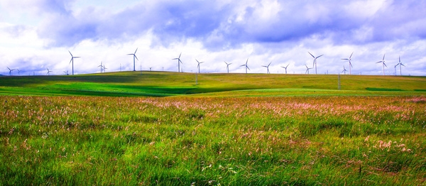 赤峰燃油觀光車定制店電話號碼-第1張圖片