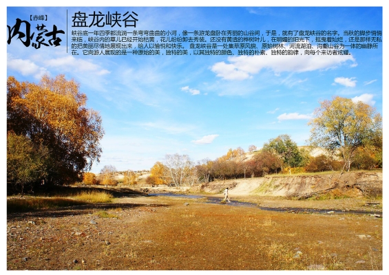 赤峰收購曲麻菜廠家電話號碼-第1張圖片