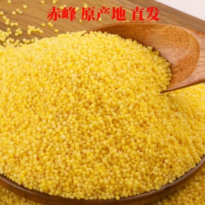 赤峰金磊理發(fā)店地址電話號碼-第1張圖片