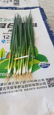 赤峰敖漢西式快餐店電話是多少-第1張圖片