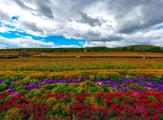 赤峰林西李龍國診所電話號碼-第1張圖片