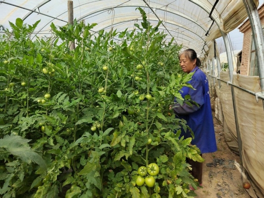 赤峰紅山區(qū)勞動(dòng)局電話是多少-第1張圖片