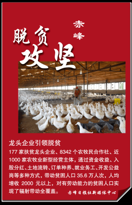 赤峰美食直播團購平臺電話號碼-第1張圖片