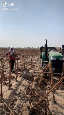 赤峰葵花鋪膜機(jī)改裝廠電話號(hào)碼-第1張圖片