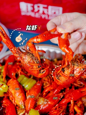 赤峰活蝦配送公司電話多少號(hào)-第1張圖片