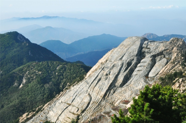 沂蒙山到赤峰的客車電話號(hào)碼-第1張圖片