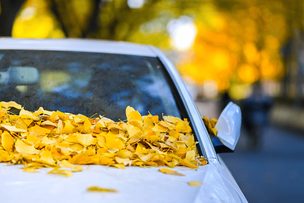 赤峰鑫億汽車銷售電話號(hào)碼查詢-第1張圖片