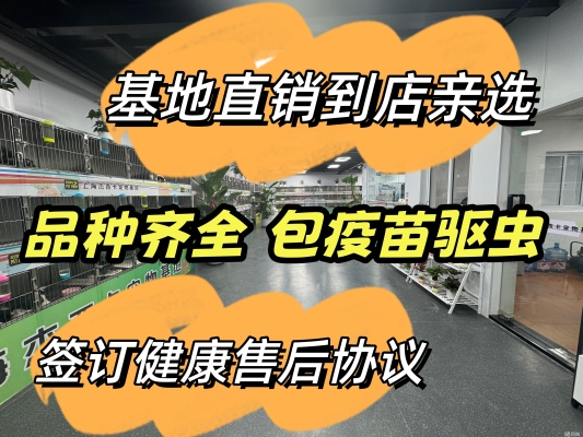 赤峰比熊狗場(chǎng)電話號(hào)碼多少-第1張圖片