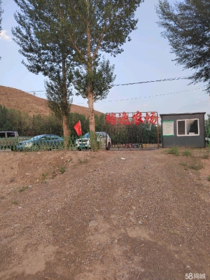 赤峰露營出租車電話號碼查詢-第1張圖片