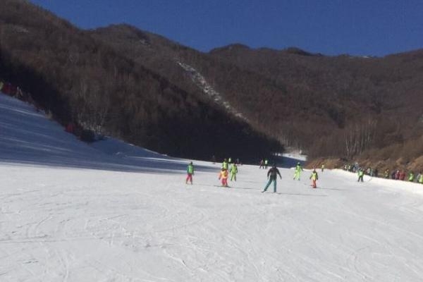 赤峰米林滑雪場(chǎng)電話(huà)號(hào)碼多少-第1張圖片