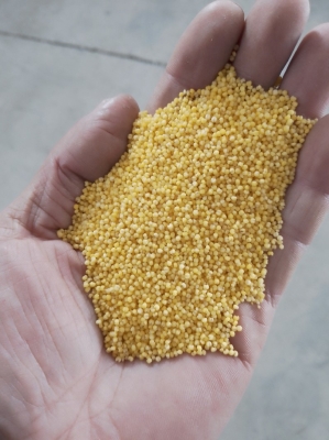 內(nèi)蒙古赤峰松山槽鋼廠電話號碼-第1張圖片