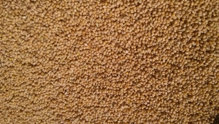 赤峰彩磚供應(yīng)商電話地址查詢-第1張圖片