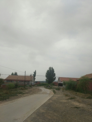 赤峰南大營子收費(fèi)站電話號(hào)碼-第1張圖片