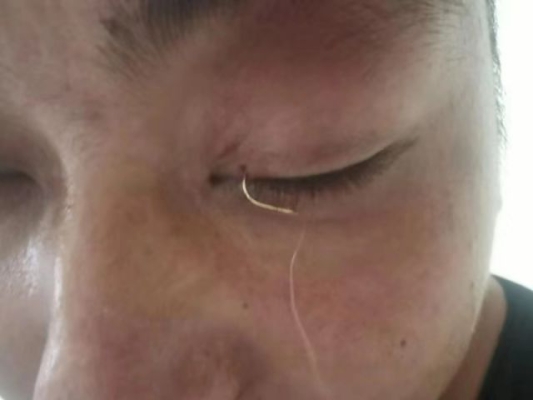 赤峰手綁魚鉤廠家電話地址查詢-第1張圖片