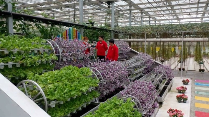 赤峰時興農(nóng)具廠電話地址查詢-第1張圖片