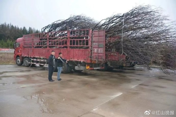 赤峰好用挖溝機(jī)廠家電話號(hào)碼-第1張圖片