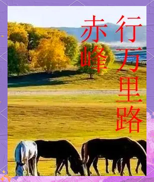 赤峰烽通旅館電話多少號(hào)碼-第1張圖片