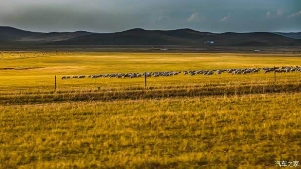獵豹汽車赤峰4s店電話號(hào)碼-第1張圖片