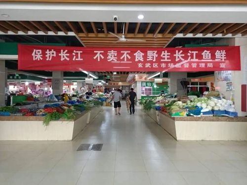 赤峰賣食用魚(yú)市場(chǎng)電話號(hào)碼-第1張圖片