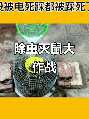 赤峰市滅老鼠公司電話地址查詢-第1張圖片