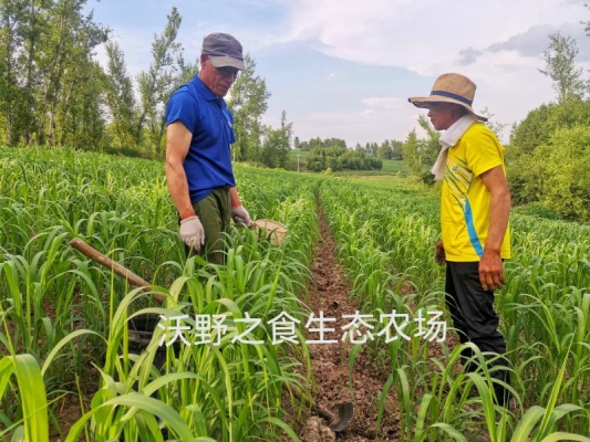 赤峰旅游農(nóng)場(chǎng)地址電話查詢號(hào)碼-第1張圖片