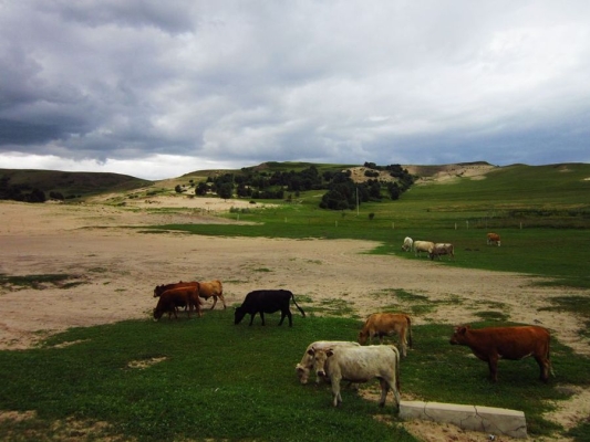 赤峰紅山奎哥酒店電話號(hào)碼多少-第1張圖片